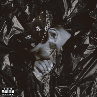 Going Through Changes - Single