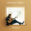 Shapes - Dominic Miller