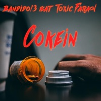 Cokein (feat. Toxic Faraon) - Single - Bandido13