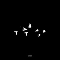 Blvk - Single - Jah Guevara