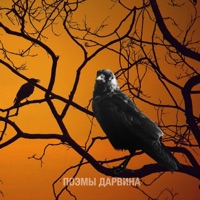 Недобрая Байка - Single - Поэмы Дарвина