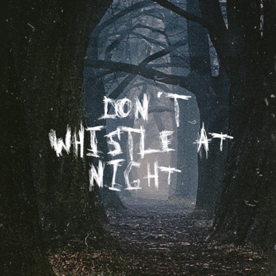 Don't Whistle At Night (feat. Bazille) - Single