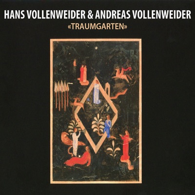 Die Vogelpredigt - Andreas Vollenweider & Hans Vollenweider | Shazam