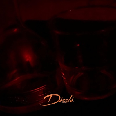 Désolé - Single