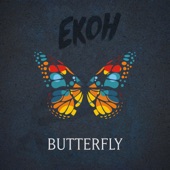 butterfly artwork