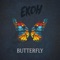 butterfly artwork
