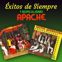 Tropicalisimo Apache - La Suavecita