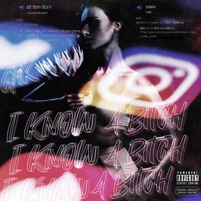 I Know a Bitch - Single