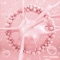 Dysfunctional (feat. Lisa Cimorelli) - Parker lyrics