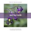 NATSKYGGE - EP - Thorbjørn Krogshede