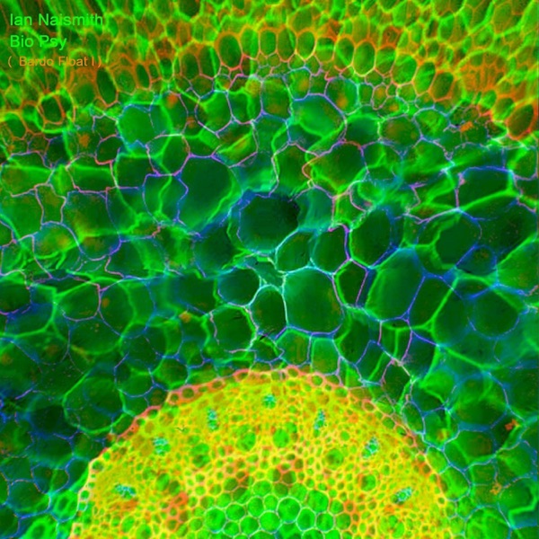 Bio Psy (Bardo Float I)