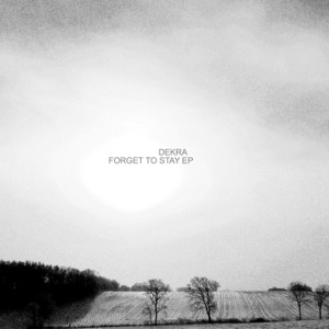 Forget to Stay - Single