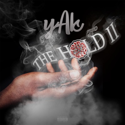 The Hold II - Single