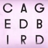 A Caged Bird / Imitations of Life - Single