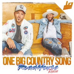 One Big Country Song (RoadHouse Remix) - Single