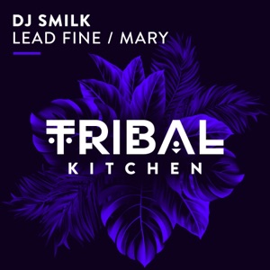 Lead Fine / Mary - Single