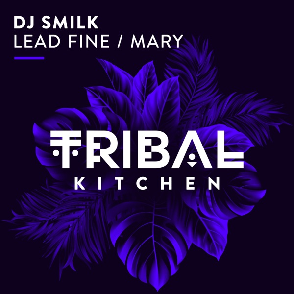 Lead Fine / Mary - Single