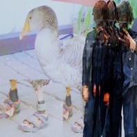 One Text - Single - Vaeo