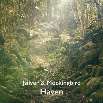 Haven - Single