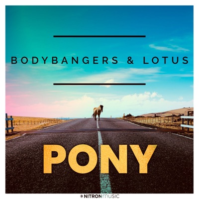 Pony - Single