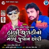 Holi Dhuleti No Melo Juvan Chhori Track 1 - Single