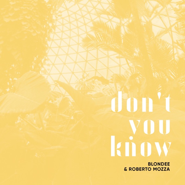 Don't You Know - Single