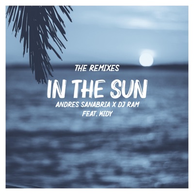 In the Sun (The Remixes)