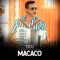 Macaco - Tico lyrics