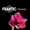 Johnny and Mary (feat. Robert Palmer) - frantic lyrics