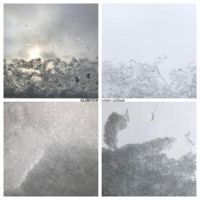 Winter Solitude - EP - Globotom