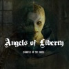 Angels of Liberty - Talk About Nothing