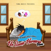Un Sueño Hermoso (feat. Lennox) [Remix] - Single - Misael 
