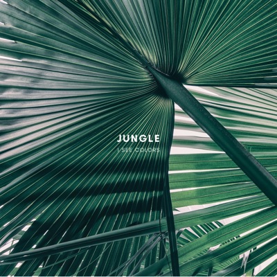 Jungle - Single