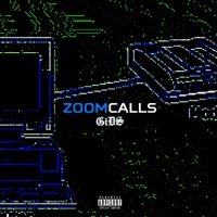 Zoom Calls - Single - GiDS