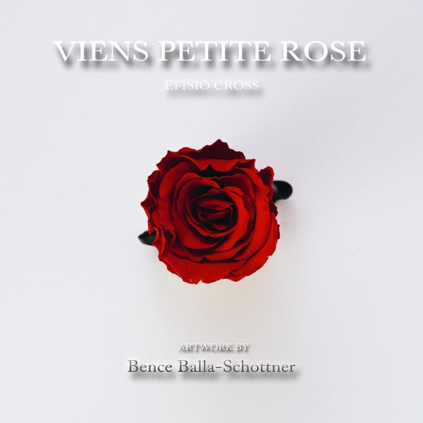 Viens Petite Rose