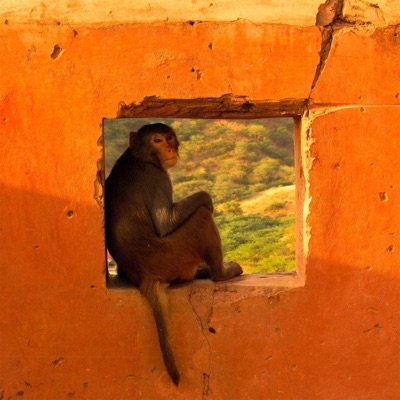 Siamo qui (feat. Libberà, Brigante, Cario M. & DonGocò) - Single