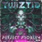 Perfect Problem - Single