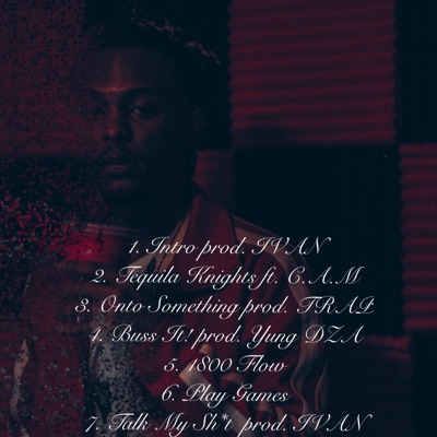 Into the Conversation