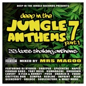 Deep in the Jungle Anthems 7 - Part 1 (Mixed by Mrs Magoo) artwork