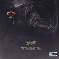 Lira 3 (feat. МОЛОДОСТЬ ВНУТРИ) - Single - Нори и Лен