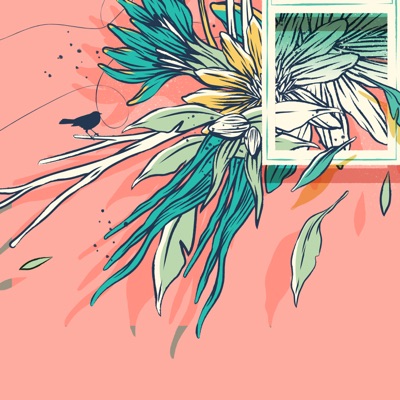 Tropitransformación (feat. Camilo Colmenares & Yonny Javier Buenaños) - Single