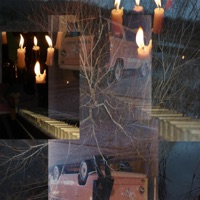 Divmonds - Single - LUNV D