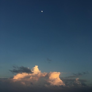 Novels - Single