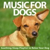 Music For Dogs: Soothing Sleep Playlist to Relax Your Dog