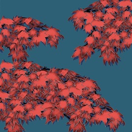 Everywhere (feat. Allister Thepault) shakambo