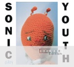 Sonic Youth - Drunken Butterfly