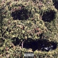 Grass Mask - Cise Greeny