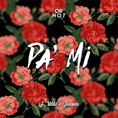 Pa' Mi (feat. J.Wild) - Single