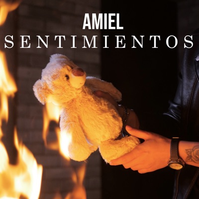 Sentimientos - Single