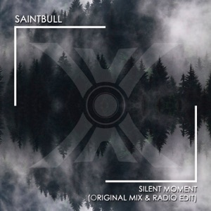 Silent Moment - Single